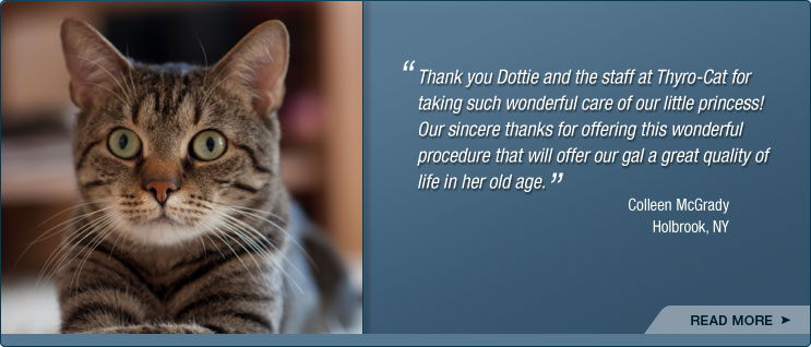 Thyro-Cat Testimonial Image4